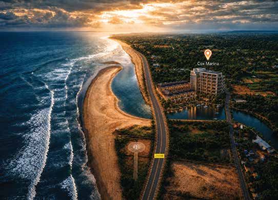 Cox Marina aerial